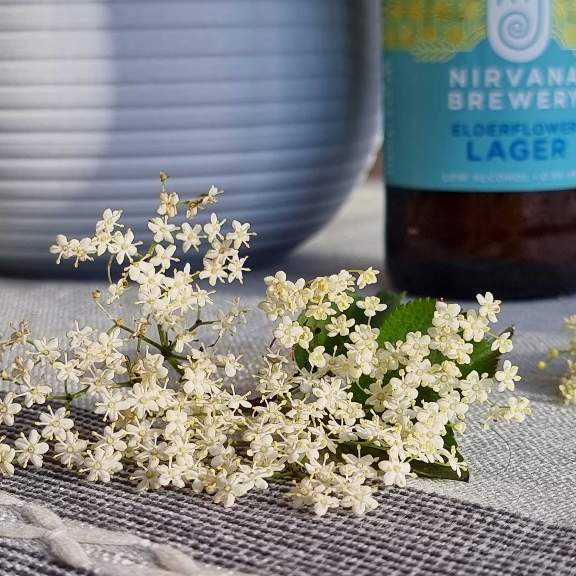 ELDERFLOWER LAGER - 0.5% - LIMITED EDITION